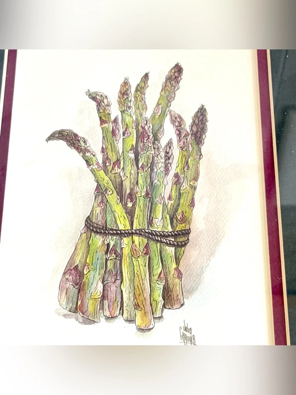 Vegetable Watercolor Art Prints Vintage Onion Asparagus Cabbage Framed Wall Art